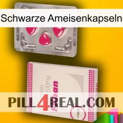 Black Ant Capsules 32